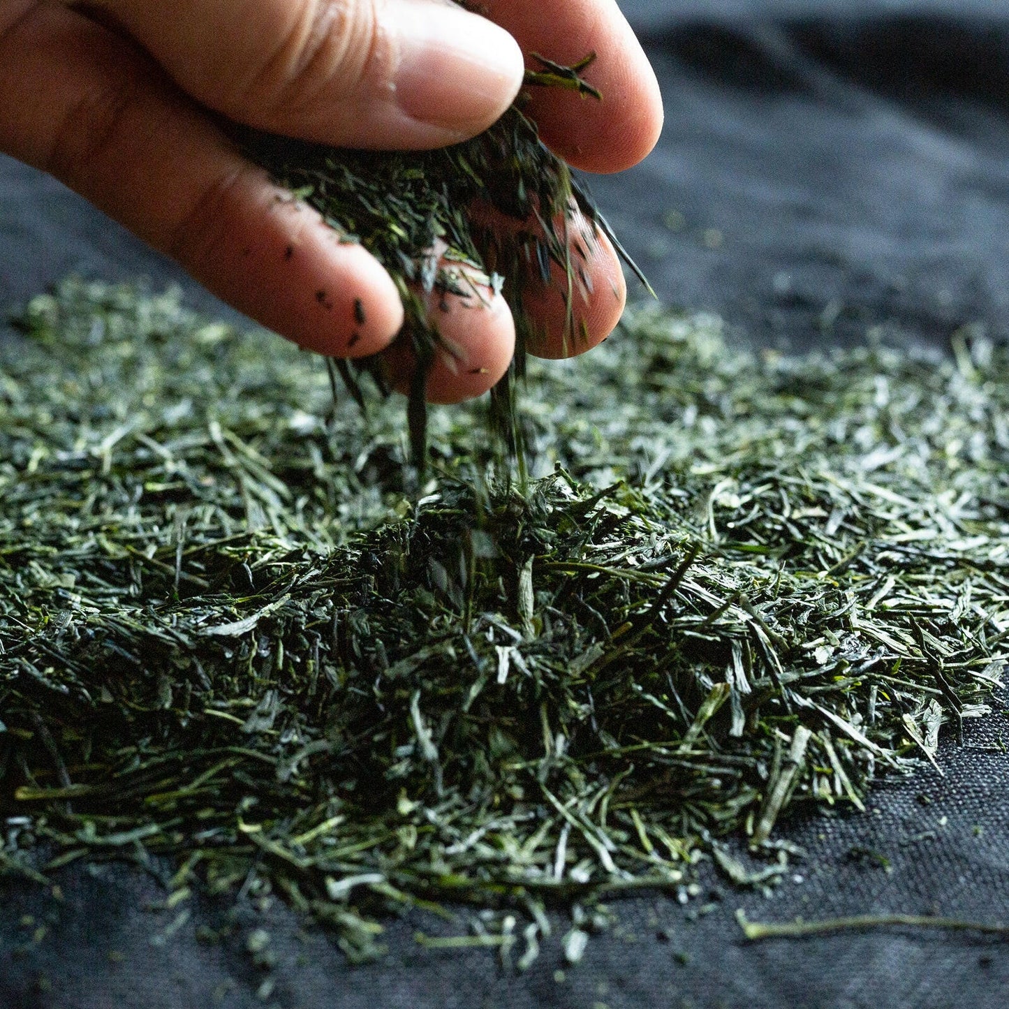 Organic Japanese Gyokuro - Yggdrasil Leaf Company
