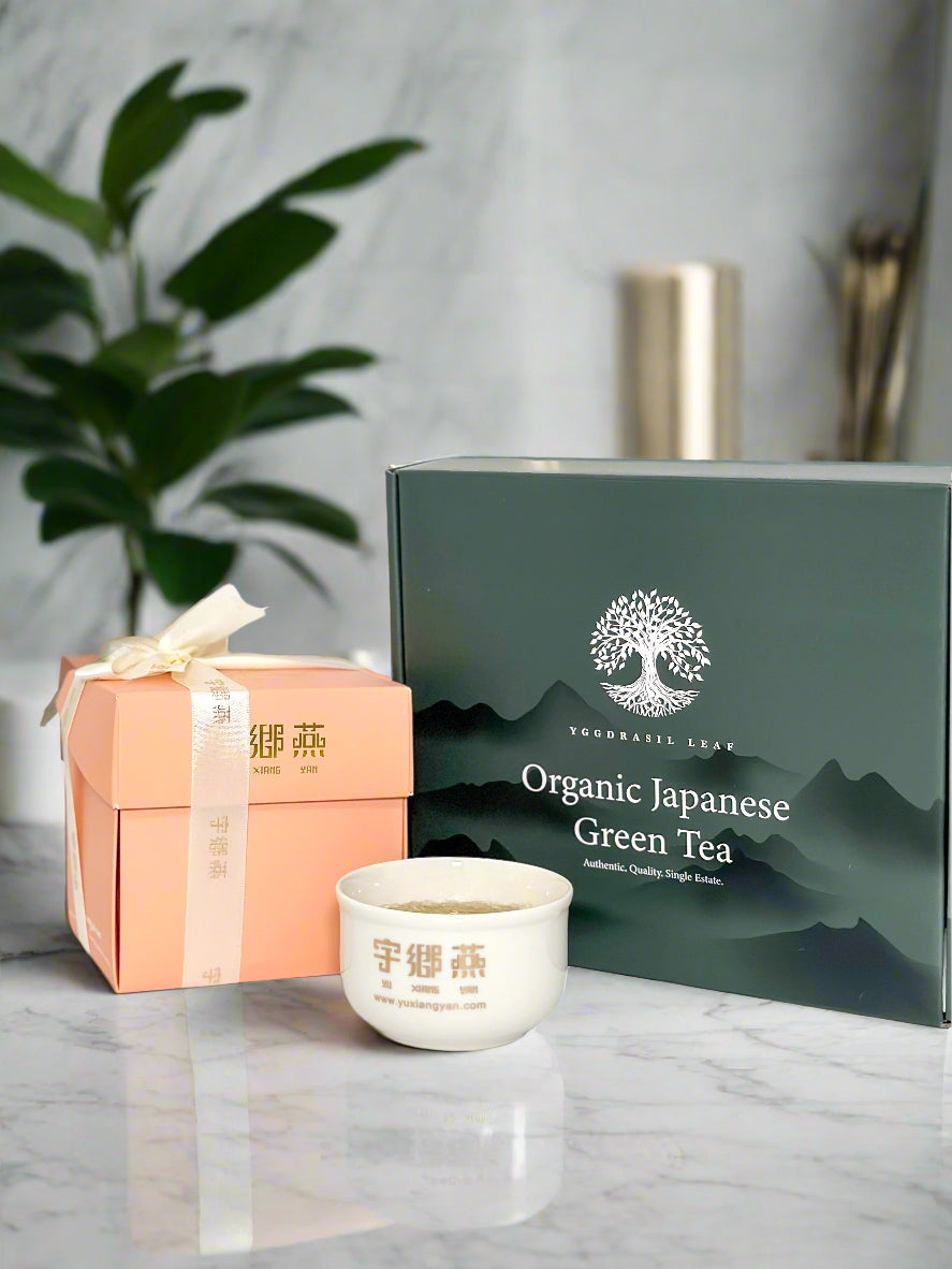 YXY x Gift Set