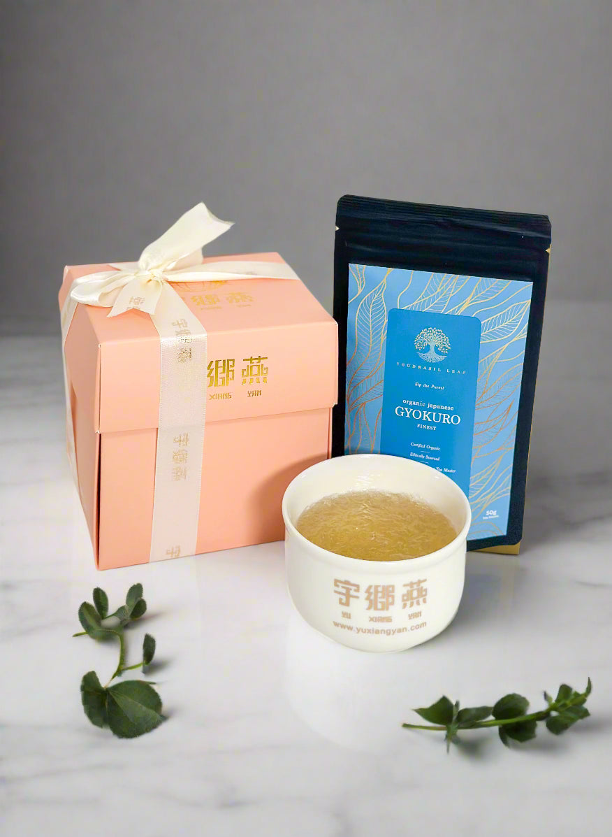 YXY x gyokuro 3