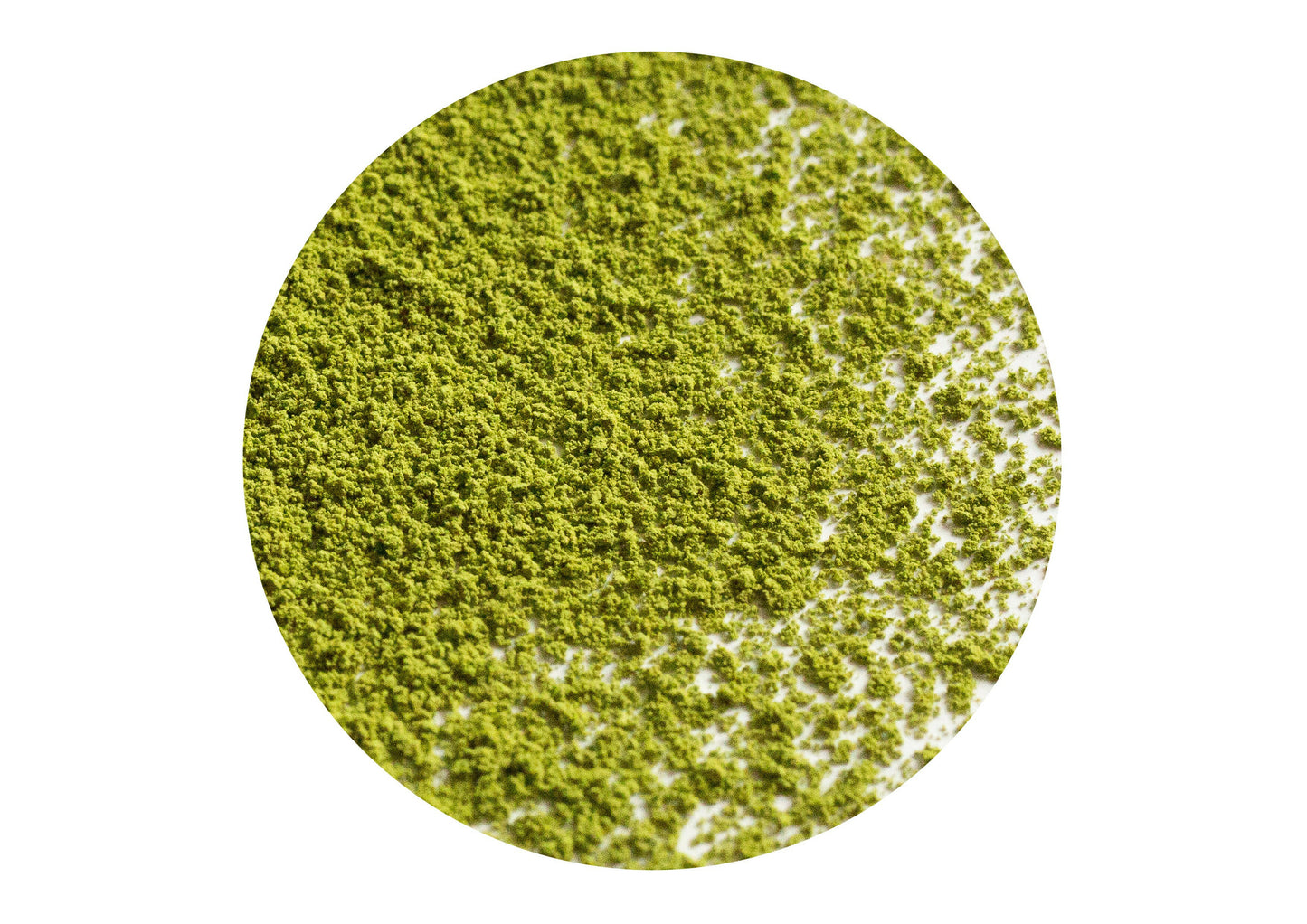 Organic Japanese Culinary Grade Matcha - Yggdrasil Leaf Company